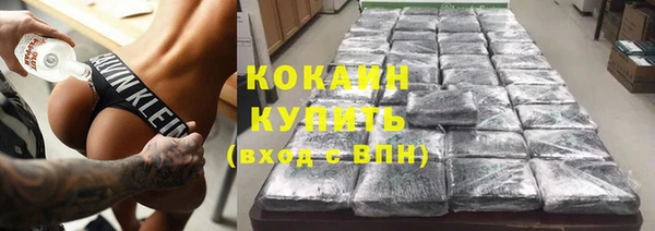 прущие грибы Магадан