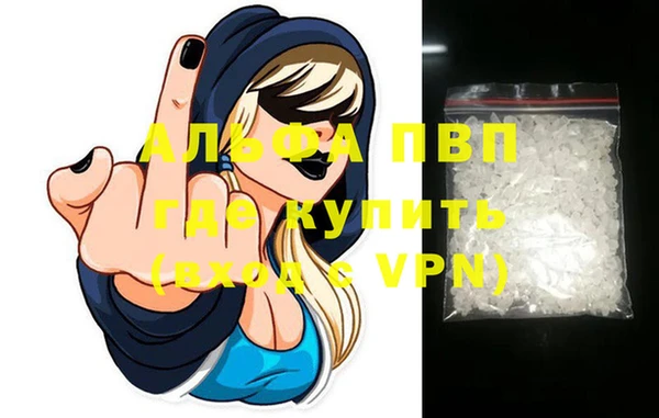 прущие грибы Магадан