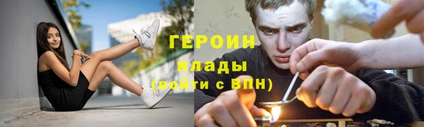 прущие грибы Магадан