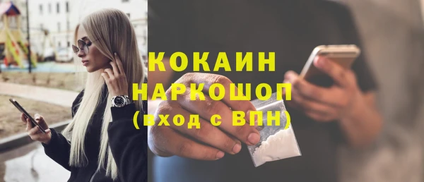 прущие грибы Магадан