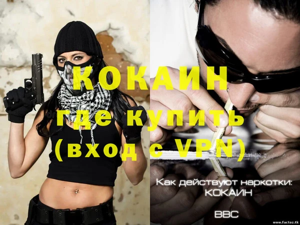 прущие грибы Магадан