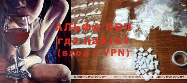 прущие грибы Магадан